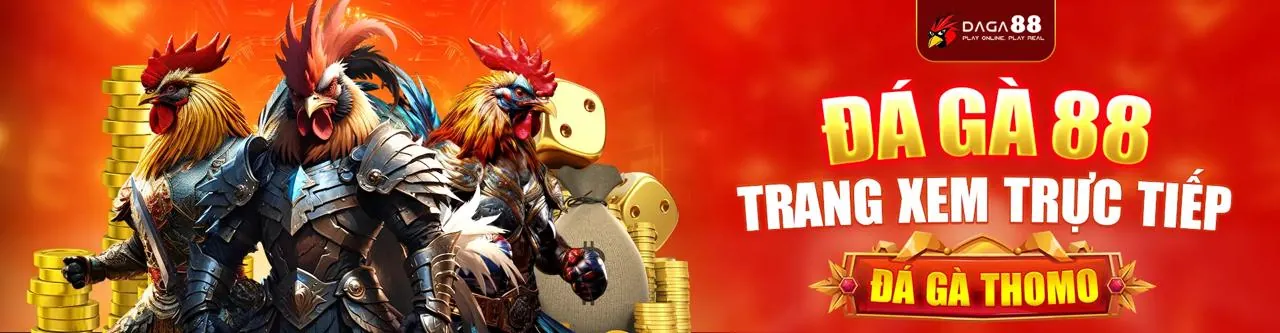 Sân đấu đá gà trực tuyến tại HK88
